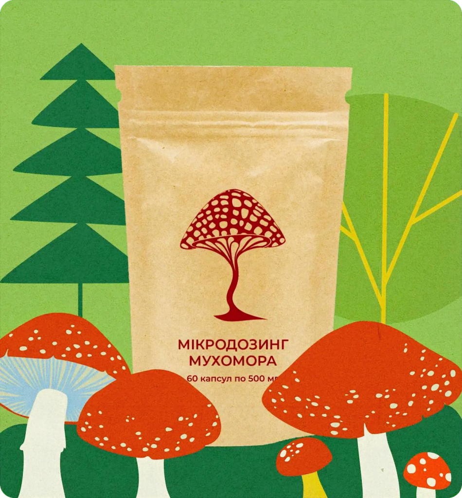 Микродозинг из красного мухомора