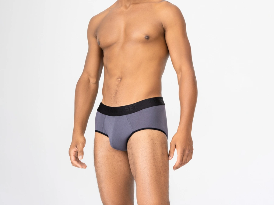 Мужские трусы брифы Anatomic Briefs 2.0 Black Series Micromodal, графитовый