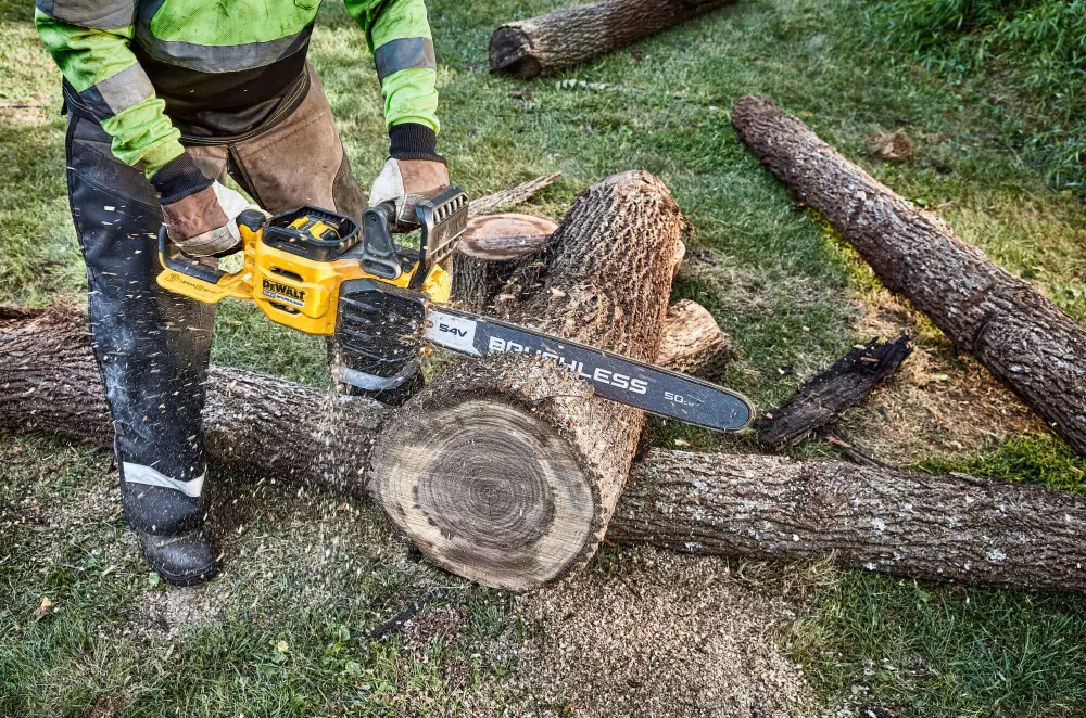 ланцюгова безщіткова акумуляторна Пила DeWALT DCMCS575X1