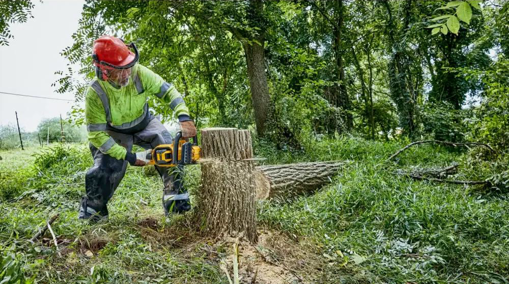 Пила акумуляторна DeWALT DCMCS574