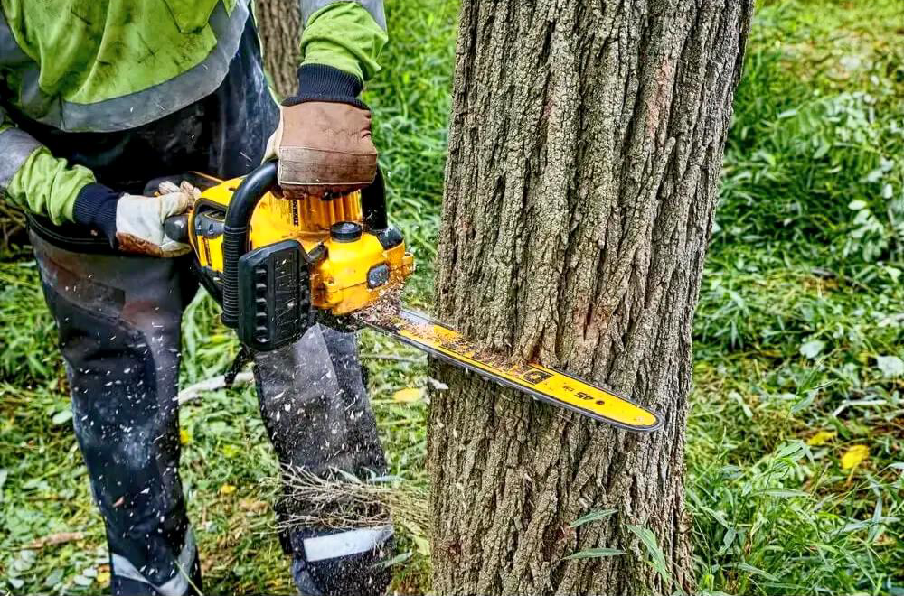 Пила ланцюгова акумуляторна безщіткова DeWALT DCMCS574X1