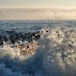 Температура води в Одесі 6 вересня: який тепер градус моря