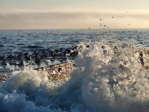 Температура води в Одесі 6 вересня: який тепер градус моря