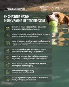 За перші п’ять місяців 2026 року зареєстровано 32 випадки лептоспірозу — тваринної інфекції, яка передається людині