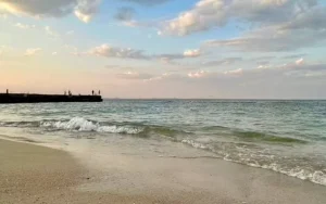 Як Одеса трансформує соціальну систему