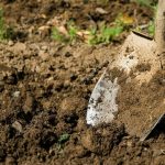 В Ізмаїлі поліція відкопала тіло чоловіка на приватній ділянці після зізнання у злочині