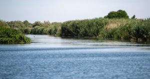 У зв’язку з надзвичайно низьким рівнем води в Дністрі Україна та Молдова обмежили скидання води на два тижні