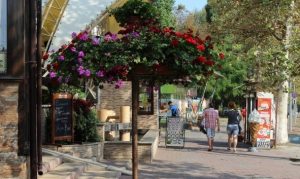 Підприємці Чорноморська мають шанс виграти грант до 30 тисяч доларів: запрошення долучитись до нової програми підтримки бізнесу