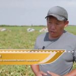 СБУ оголосила підозру керівнику нелегального аграрного комітету на Херсонщині
