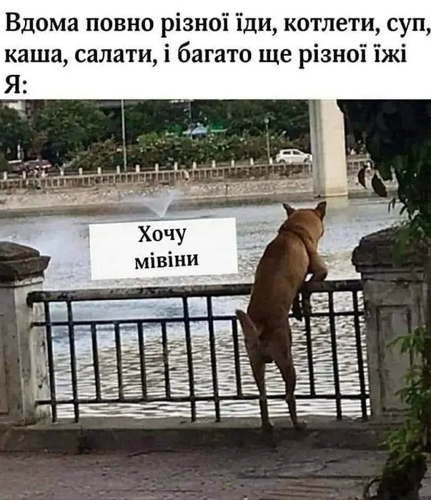 Їжа vs Мівіна