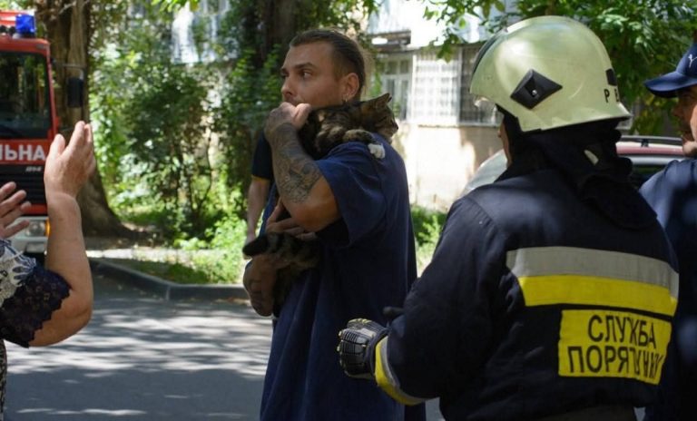 В Одесі після трьох днів на тополі зняли кота та врятували його