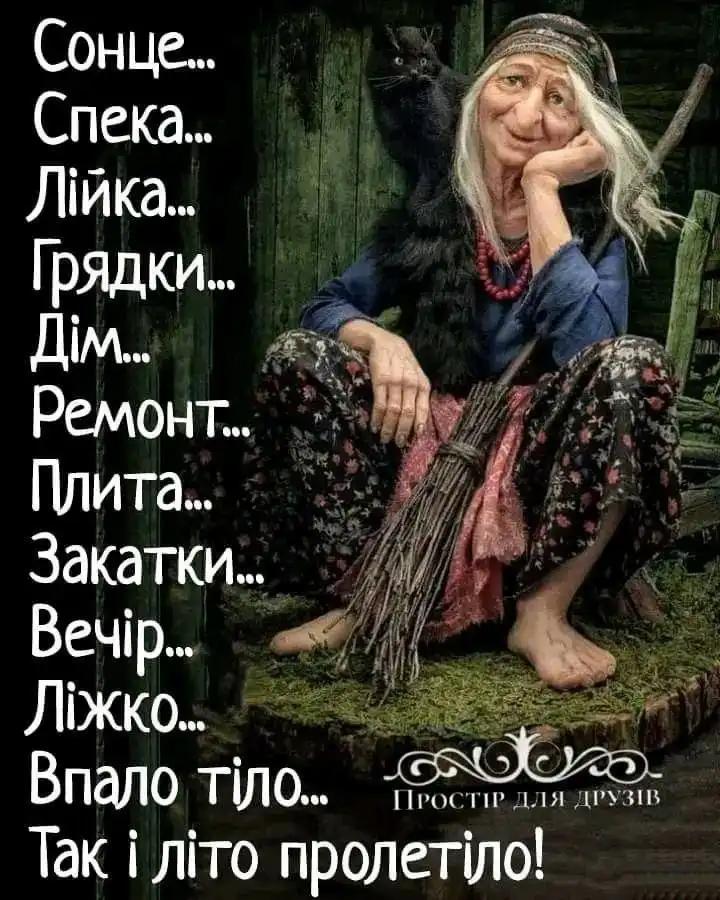 Світлина 3