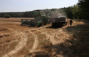 Світові ціни на продукти харчування зростають до максимуму з 2022 року через атаки в Чорному морі, повідомляє ООН
