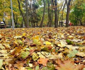 Одеса відкриє жовтень із теплою погодою