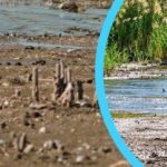 Ялпуг пересихає вже другий рік: наслідки для водопостачання Болграда